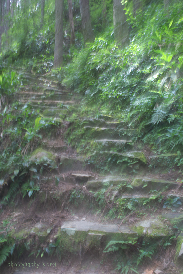 e0083238_223239.jpg
