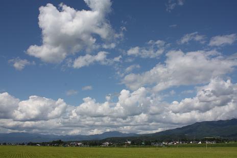 f0182239_1224292.jpg