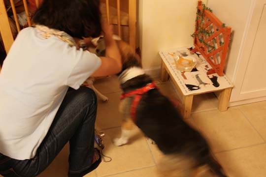 a0042044_022450.jpg
