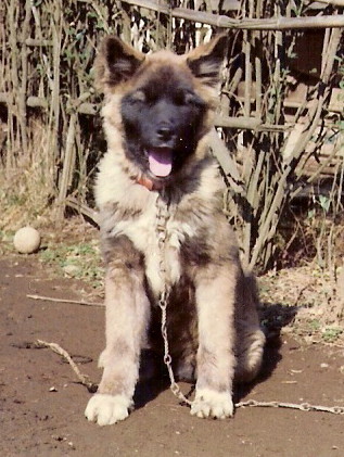 e0121548_178078.jpg