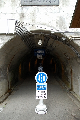 a0138449_22161449.jpg