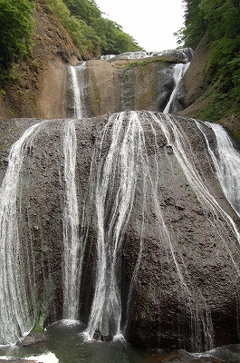 a0138449_2222553.jpg