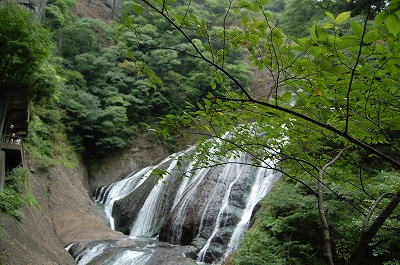 a0138449_22251892.jpg