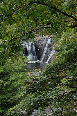a0138449_22322040.jpg
