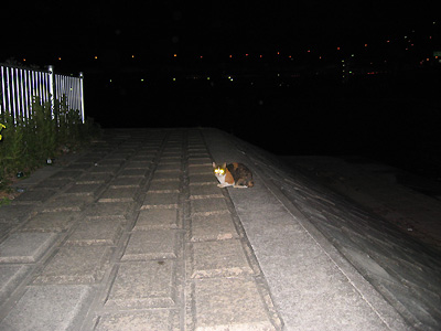 c0191451_0355871.jpg