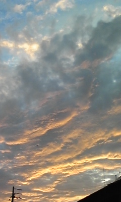 b0159752_852316.jpg