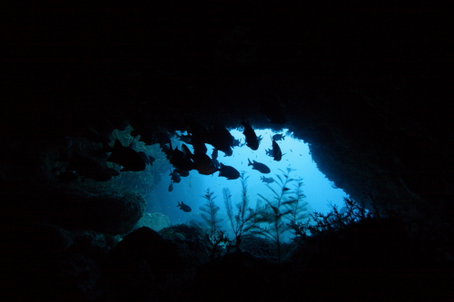 d0021952_2250376.jpg