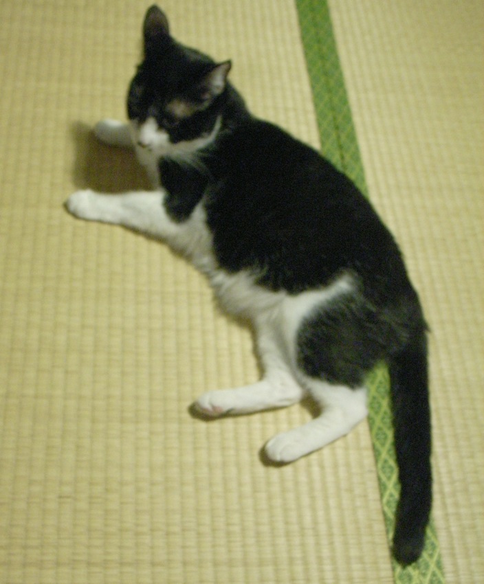 c0138553_21533124.jpg