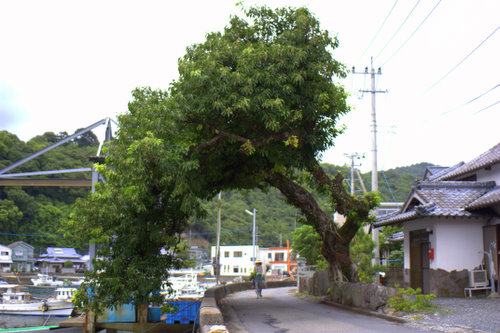 b0176556_22253979.jpg
