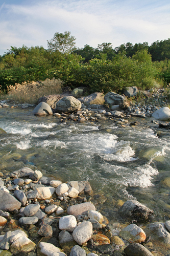 a0003259_521418.jpg
