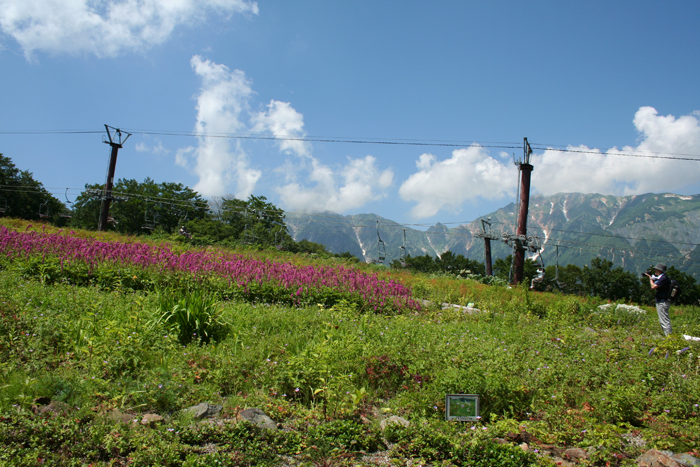 a0003259_583373.jpg