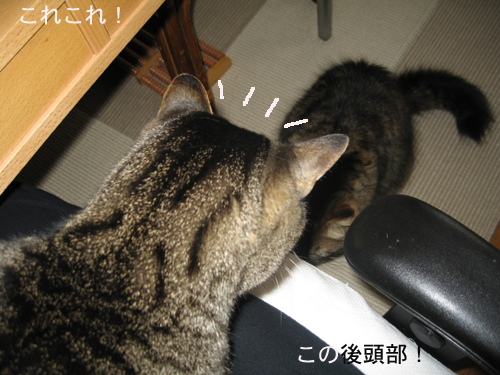 e0057361_23213779.jpg