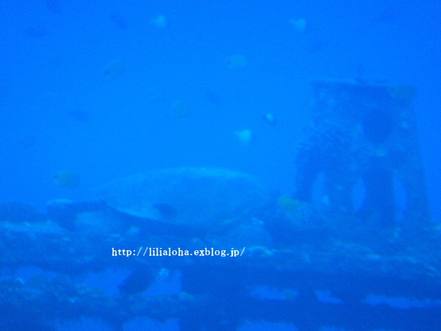 a0067962_6511714.jpg