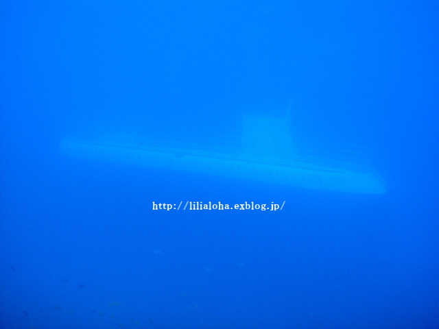 a0067962_6514246.jpg