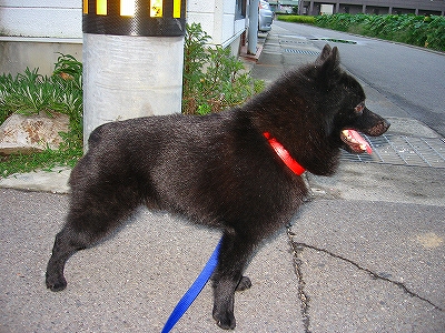 e0002466_2251360.jpg