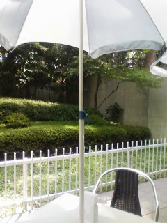 f0112873_2511169.jpg