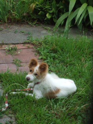 f0005081_2249356.jpg
