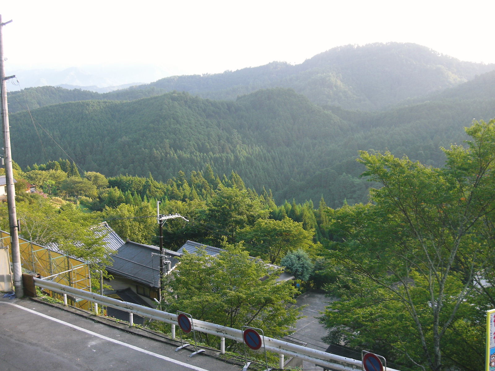f0048182_77279.jpg