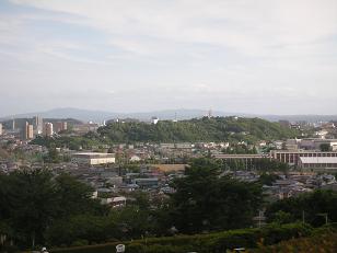 d0129083_177493.jpg