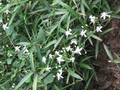 c0105786_23431370.jpg