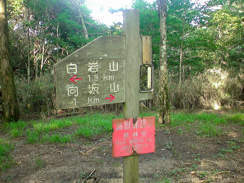 b0177493_20291485.jpg