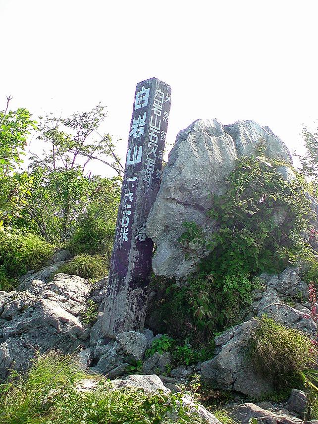 b0177493_20302991.jpg