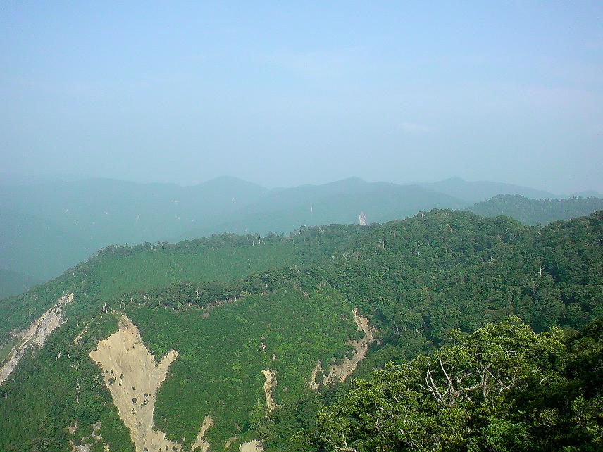 b0177493_20325335.jpg