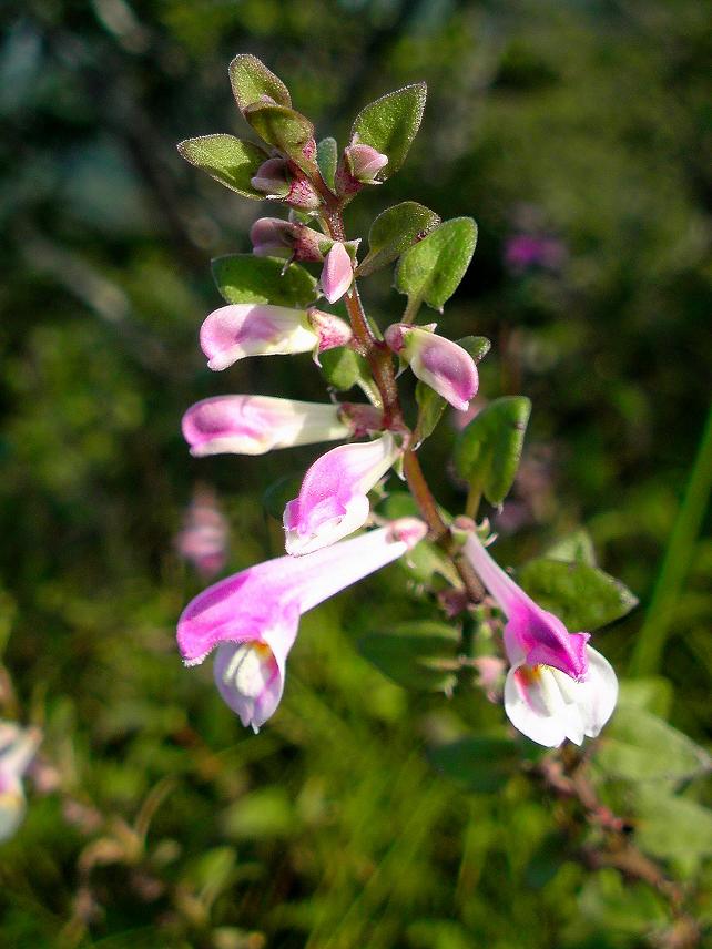 b0177493_20353429.jpg