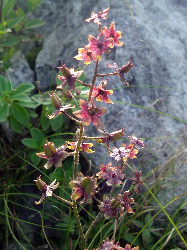 b0177493_20362270.jpg