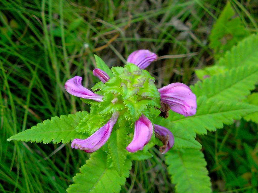 b0177493_20375042.jpg