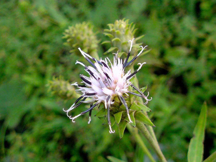 b0177493_20383977.jpg