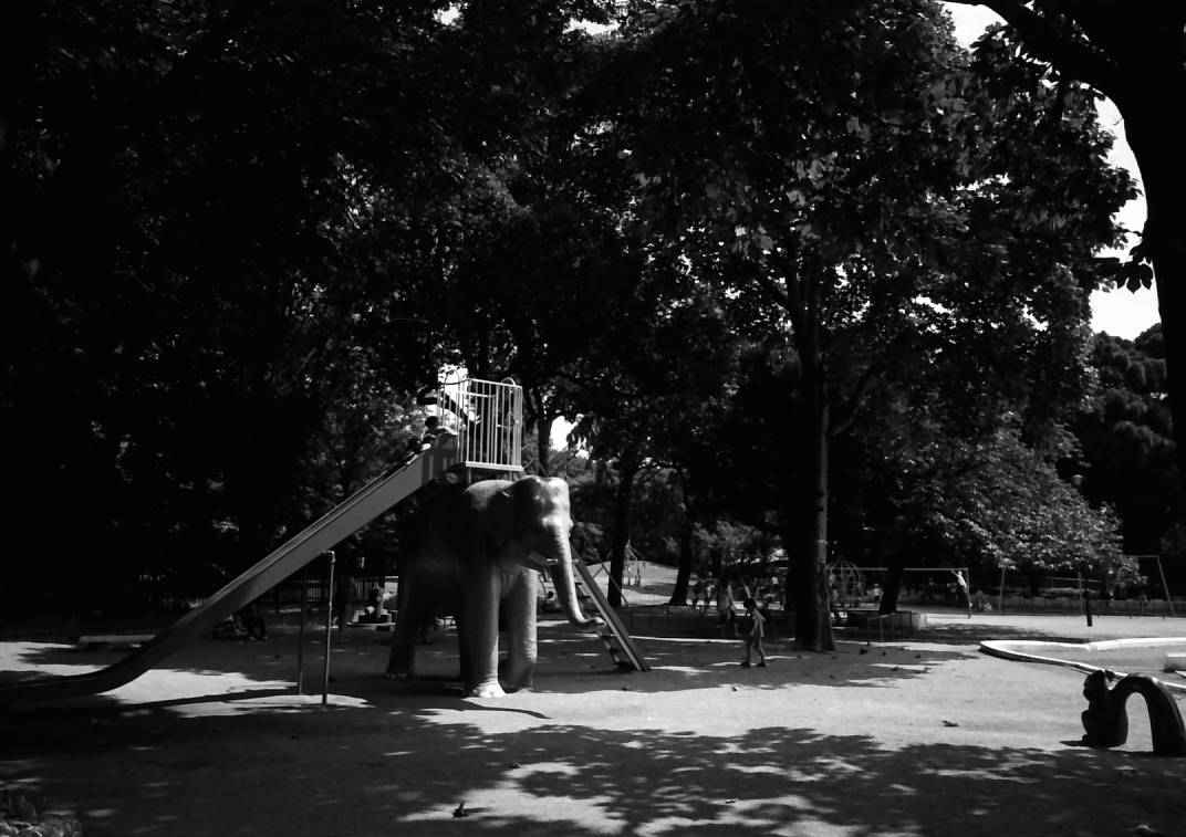 e0025893_092896.jpg