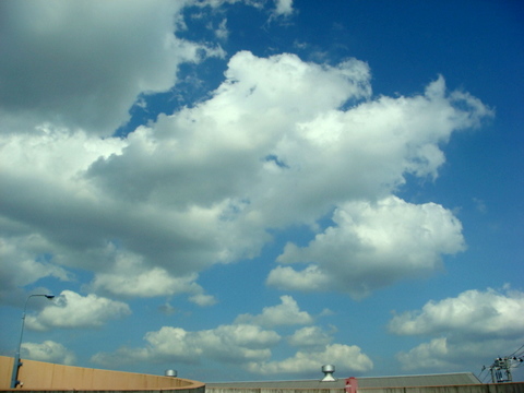 f0137694_8532689.jpg
