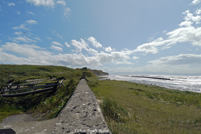 f0001895_1741845.jpg