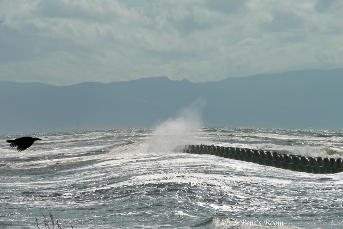f0001895_17435820.jpg