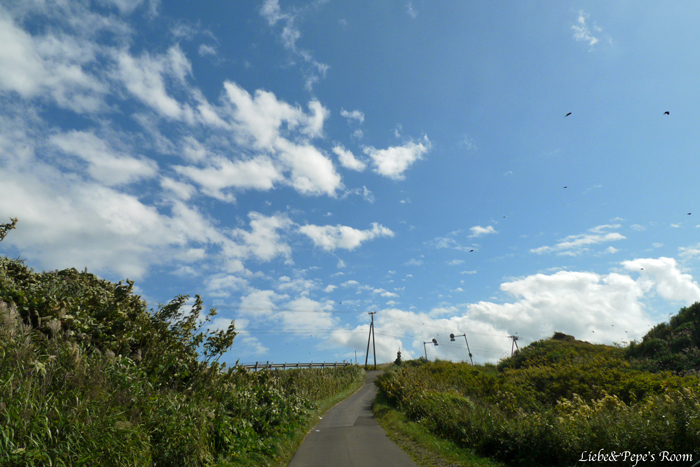 f0001895_17484141.jpg