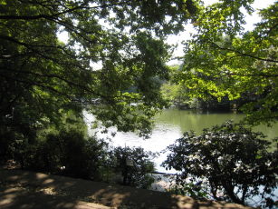 e0033301_11381560.jpg