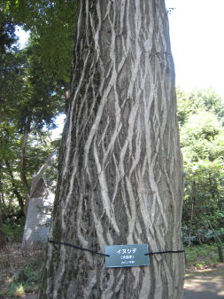 e0033301_11411136.jpg