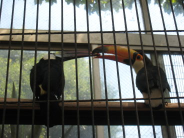 e0033301_11485925.jpg