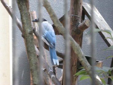 e0033301_11533099.jpg