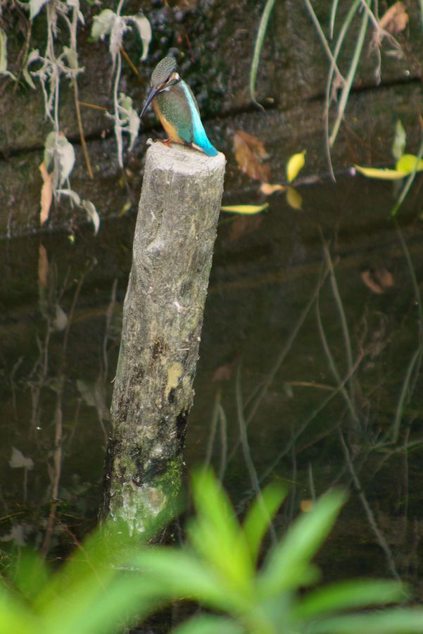 c0187503_2225334.jpg