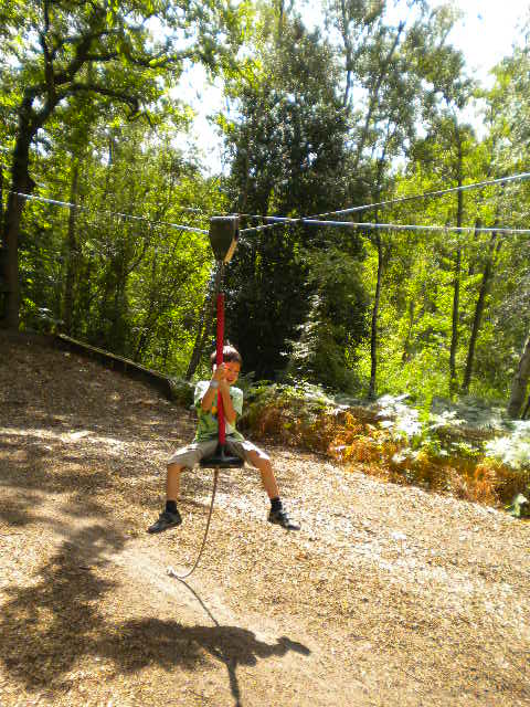 e0160905_655057.jpg