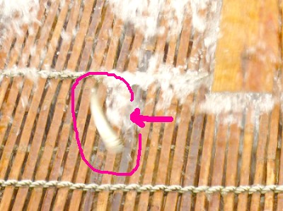 c0058606_239755.jpg