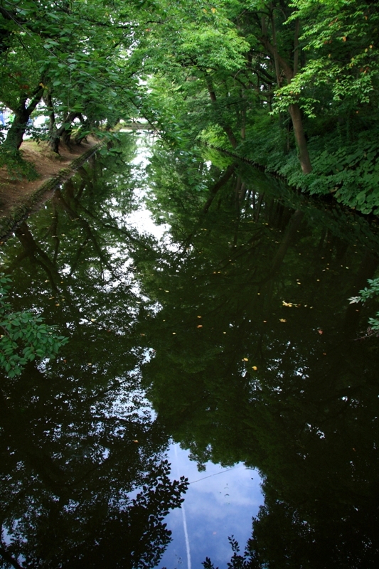 b0180907_2022131.jpg
