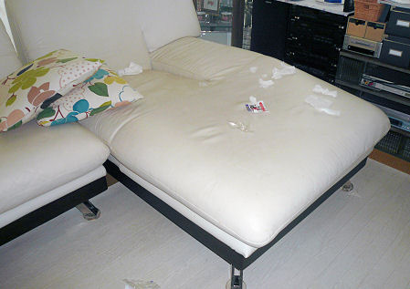 f0112407_1322425.jpg