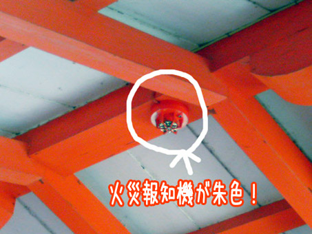 e0177509_1540622.jpg