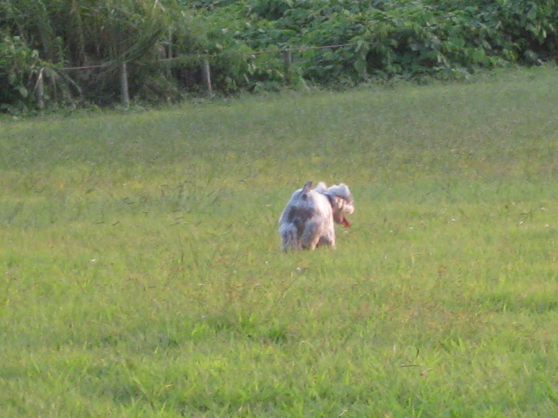 f0179209_20304356.jpg