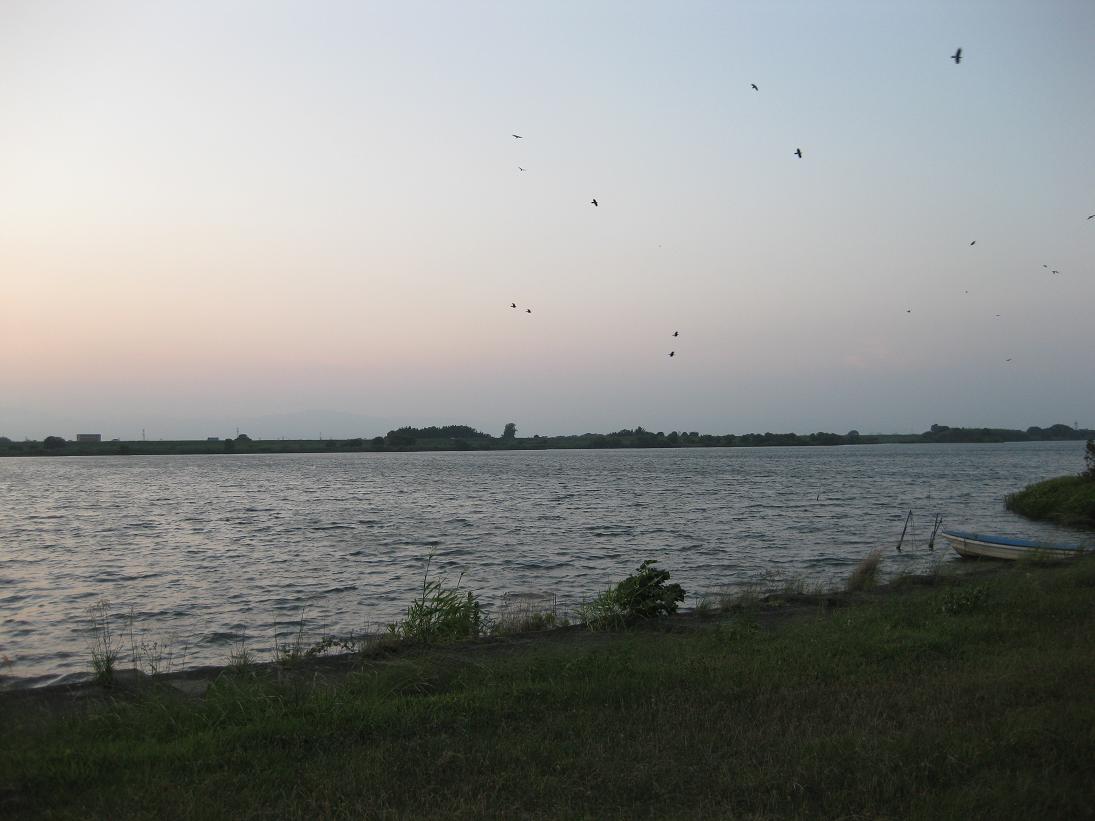 f0179209_20402089.jpg