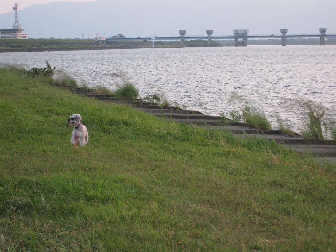 f0179209_20432591.jpg