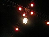 f0100911_2093559.jpg